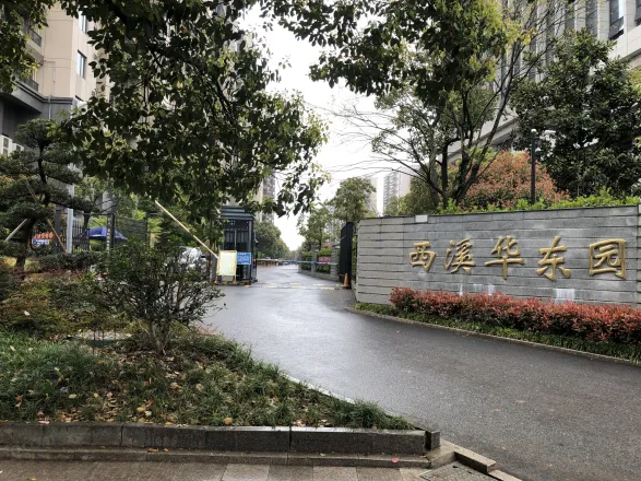 男子乒乓球团体决赛
