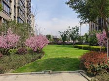 尚品华庭1室1厅南