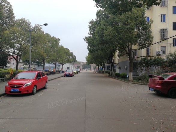 黄楼花苑实景图