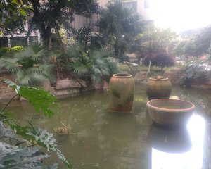 香山半岛 2室1厅 南