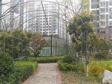 恒大名都精装修,全套牌子家具家电。