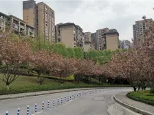 两路老城 水木香山二房70万