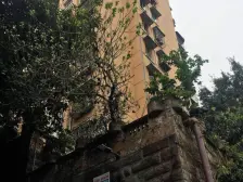 三色花园 正规三房 业主安心卖