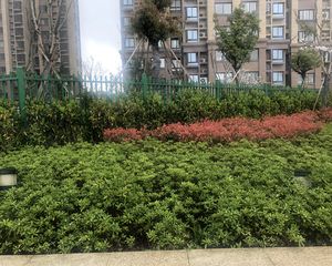 房龄新 小三房 电梯房 户型合理设计好南北 精装修