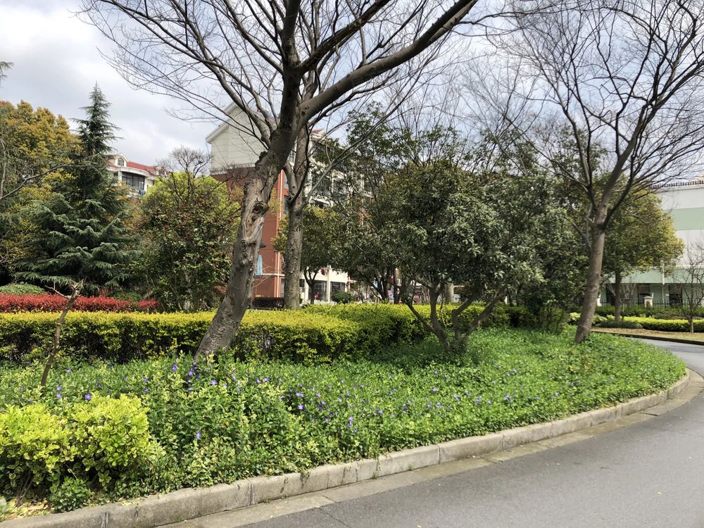 小区相关图