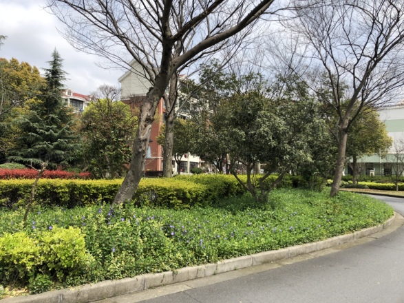 永丰苑实景图