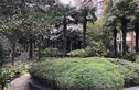 世纪阳光园实景图