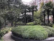 近地铁 随时看房 电梯房,精装 新上房源