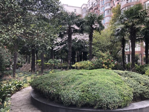 世纪阳光园实景图