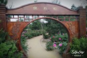 夏季牡丹园拱门