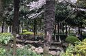 世纪阳光园实景图