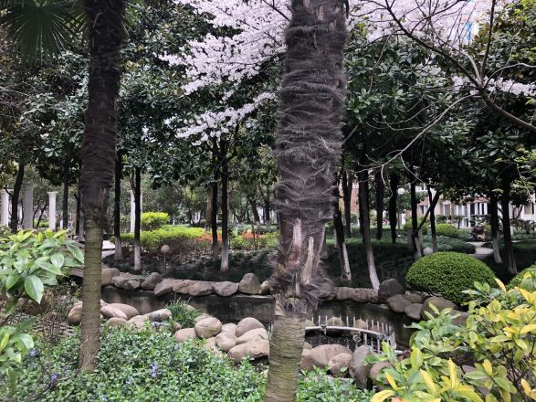 世纪阳光园实景图