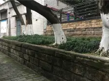 五里店 平安村三房55万