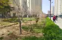 北部时光实景图