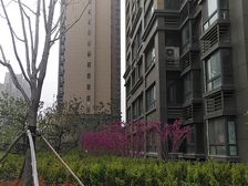 公务员小区 配套齐全 有车位储藏室 诚心出售