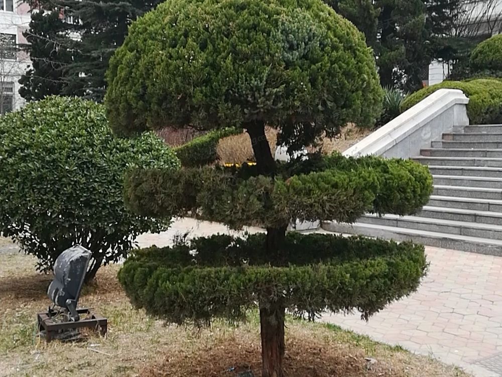 小区相关图