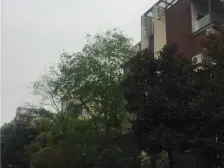 金科10年城东区 4室2厅 南 北