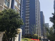 新南四期1室1厅东南