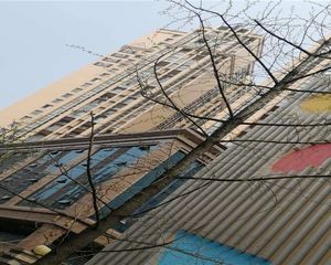 首航欣程1室1厅西南