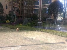 复地御香山3悦 4室1厅 南