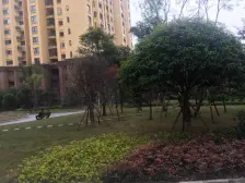 石井坡轻轨站旁 精装三房 业主急售 安静 安静 安静