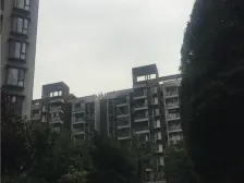 石马河 金科十年城东区三房