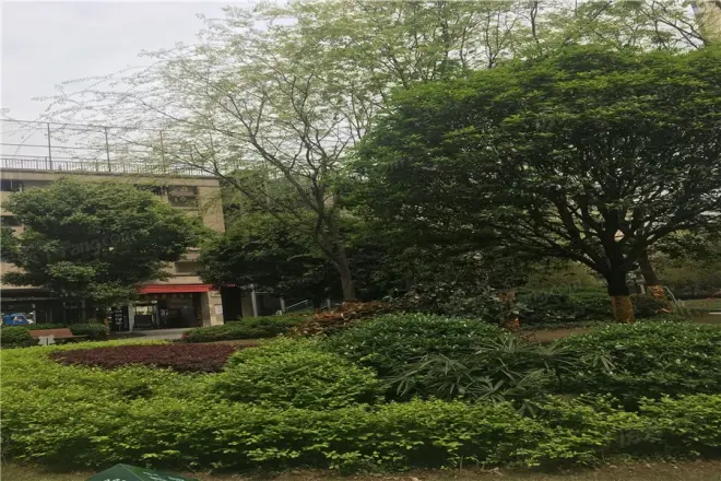 财信渝中城实景图