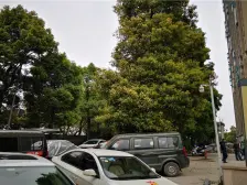 业主诚心卖,价格便宜,有公园,有配套