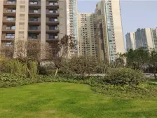 加州新牌坊 碧桂园嘉誉一房50万