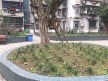 南坪 电力大厦(南坪)四房