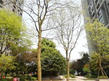 楼下双地铁,跃层两房,西北向,视野采光好,交通便利