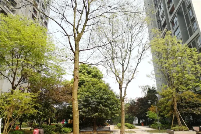 【重庆联发瞰青小区,二手房,租房】- 重庆房天下