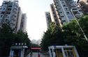 香邻春天实景图