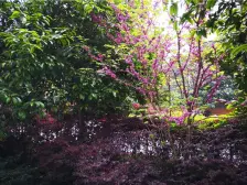 大渡口步行街公园旁电梯房小区陪着高精装修大三房价格可刀