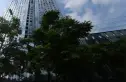 望江名门(锦江)实景图