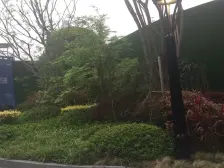 照母山新上看湖小高层,精装自住,预约看房