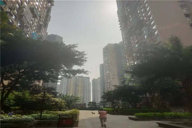 兰花丽景添丁实景图