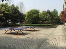 西政旁,出行便利,配套成熟,刚刚装修好。诚心出售