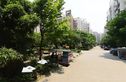 香邻春天实景图