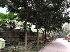 杨家坪 志龙倚林佳园一房25.5万