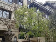 江北嘴中海品质别墅 大户型 采光好 户型方正 带花园