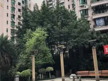 杨家坪 直港大道 珠江花园 看江三房 带70平花园