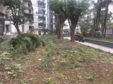 南坪 电力大厦(南坪)二房90万