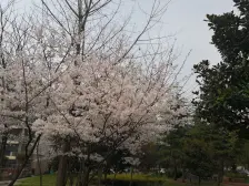 近地铁房龄较新,户型南北通,得房率高,业主诚心出售