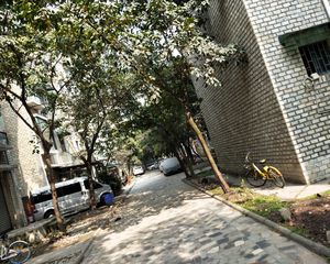 碧水锦楼3室1厅南