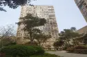 兰花丽景添丁实景图