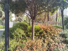 高新区 兴茂盛世国际三期二房35万