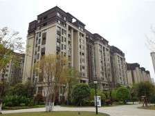 轨道观月站旁小高层户型方正采光好楼层好