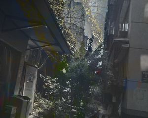 武侯祠大街4号4室2厅东南