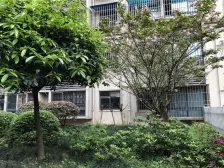 大坪 国宾豪庭三期二房59万